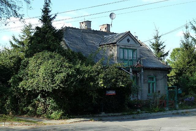 Żywy płot