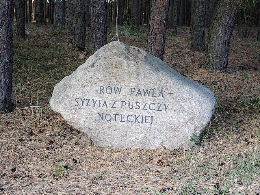 Rów Pawła - Syzyfa z Puszczy Noteckiej / Mężyk