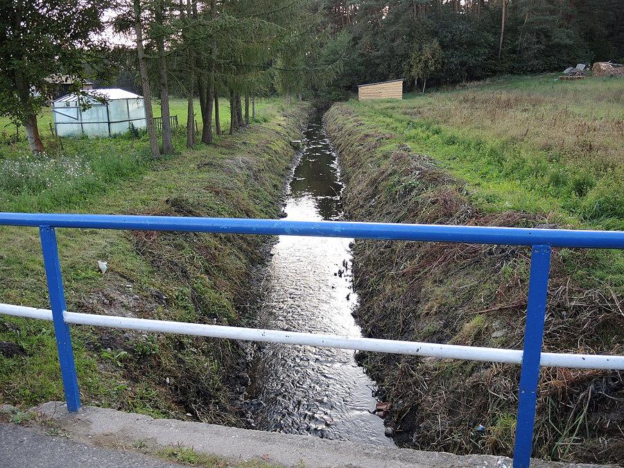 Niezborała w innym ujęciu
