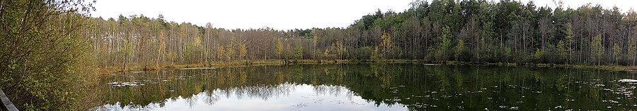 Wilcze Błoto - widok panoramiczny