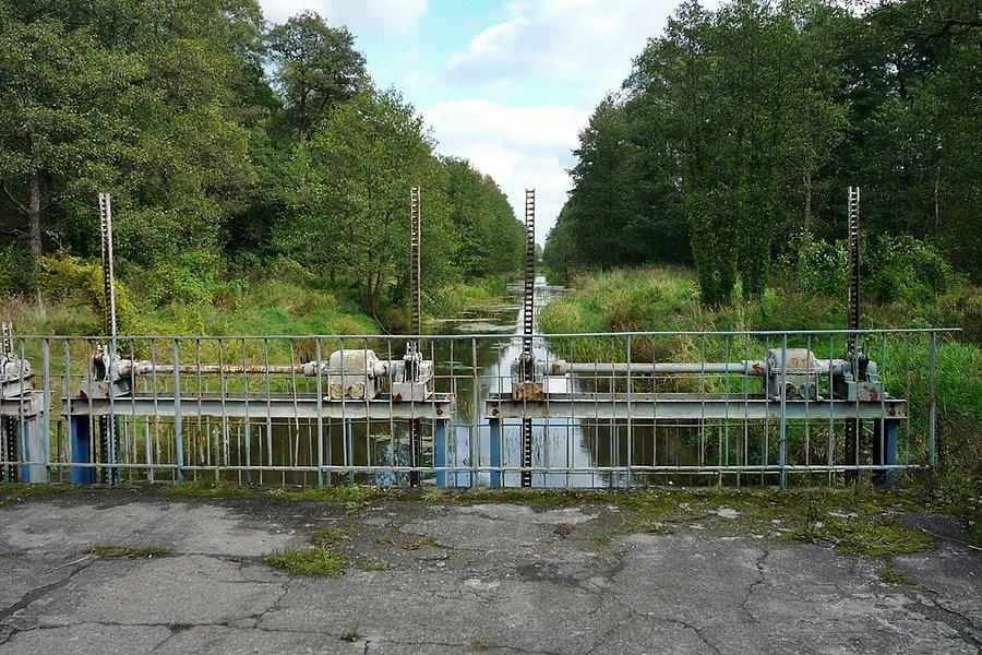 Przy kanale Łasica