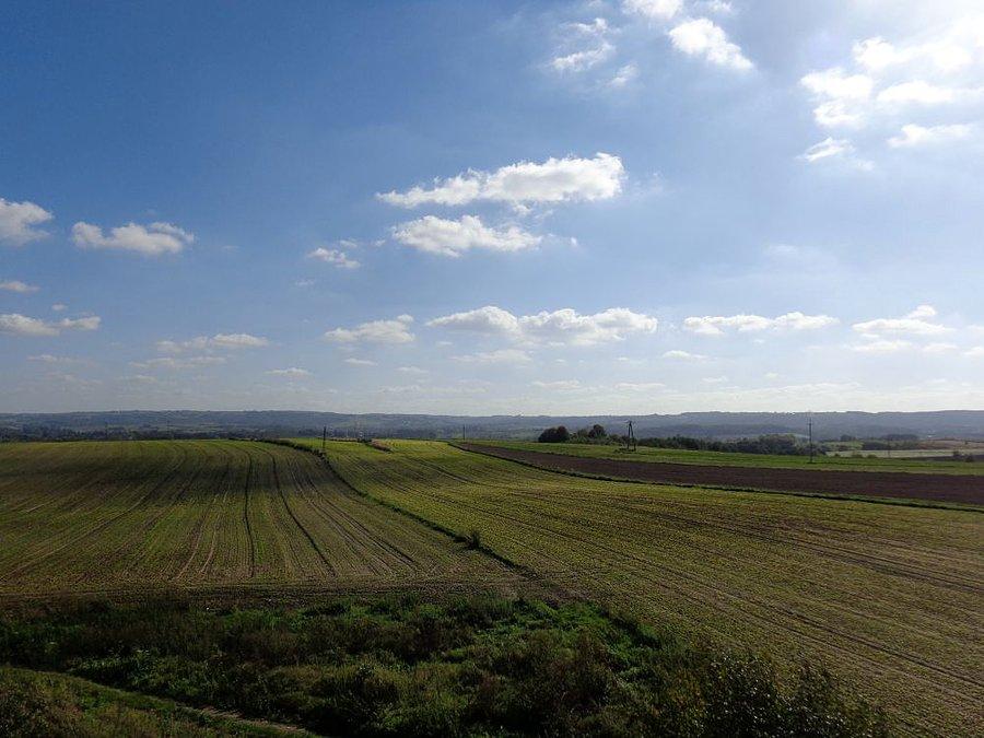 Widok ze strzelnicy