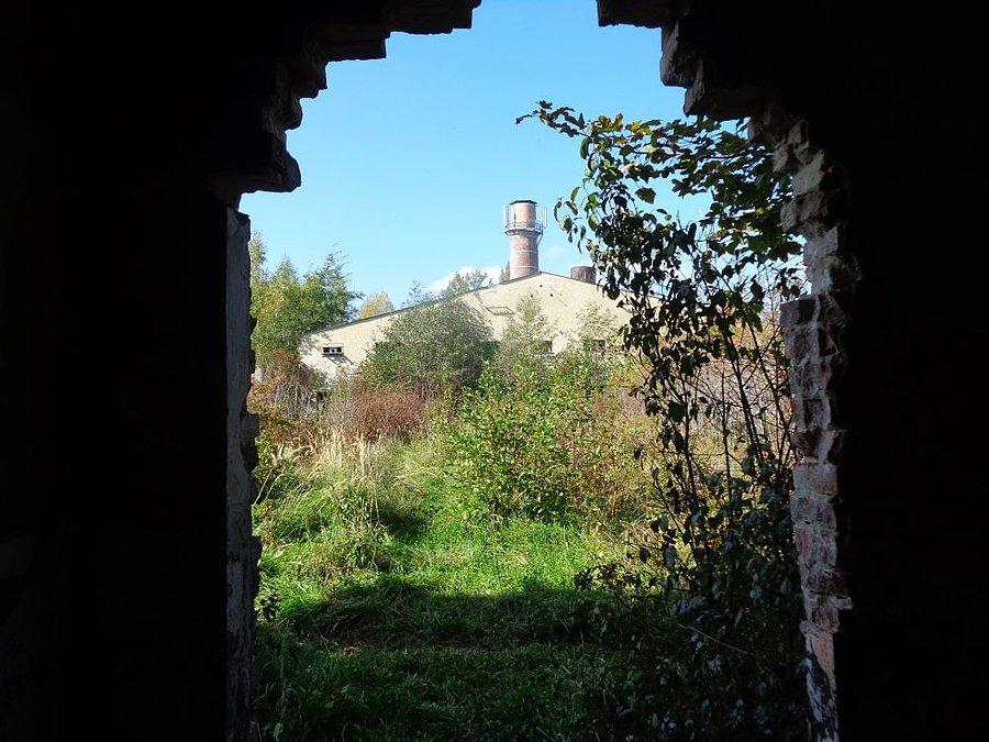Widok z budynku