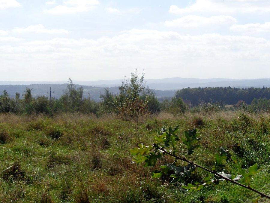 Widok na Rezerwat Wilcze