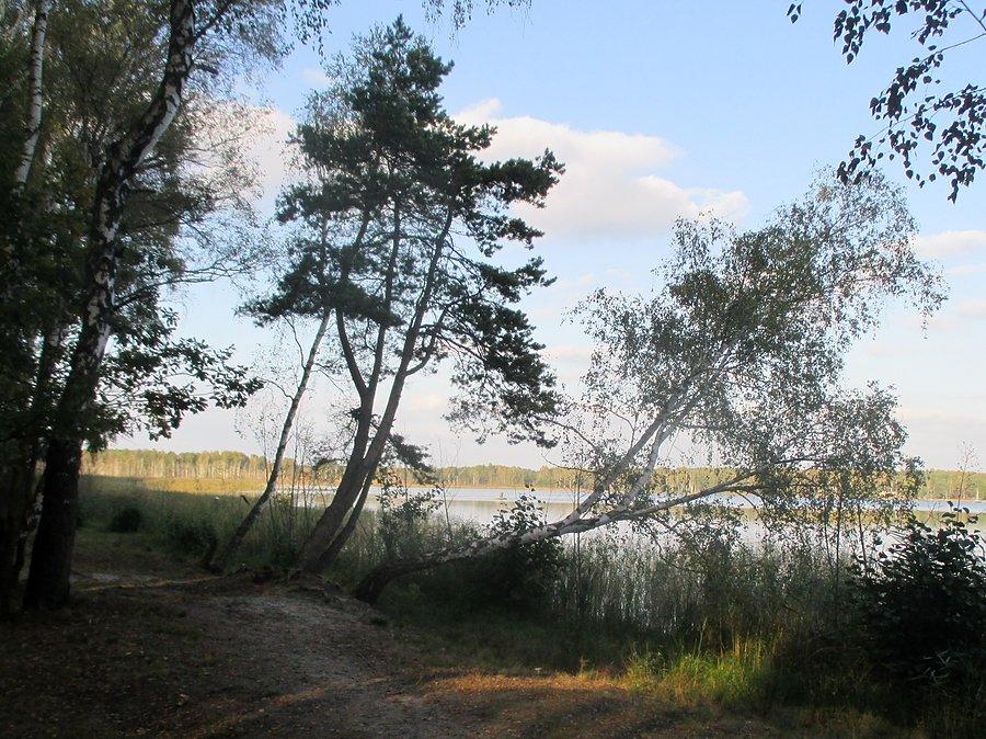 Jezioro Piaseczno