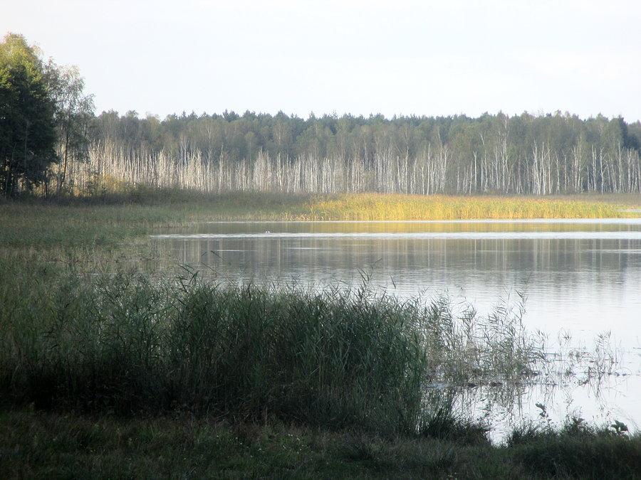 Jezioro Piaseczno