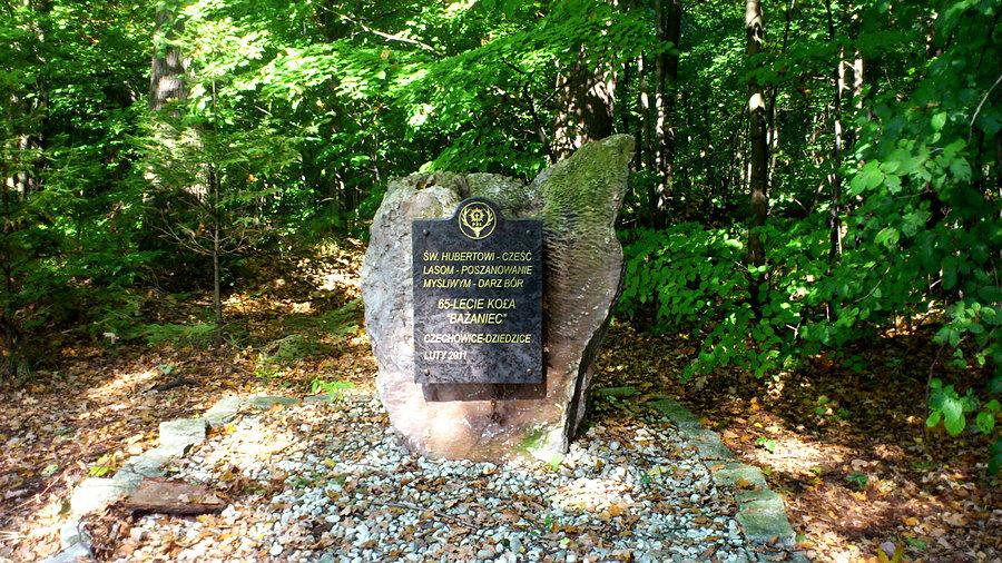 Cześć Lasom