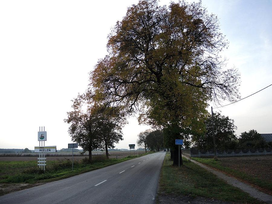 Wyjazd z Mikołajewa - kierunek Rosko