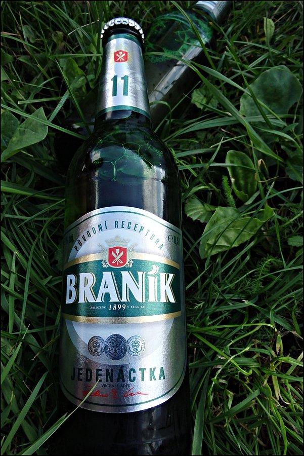 Branik