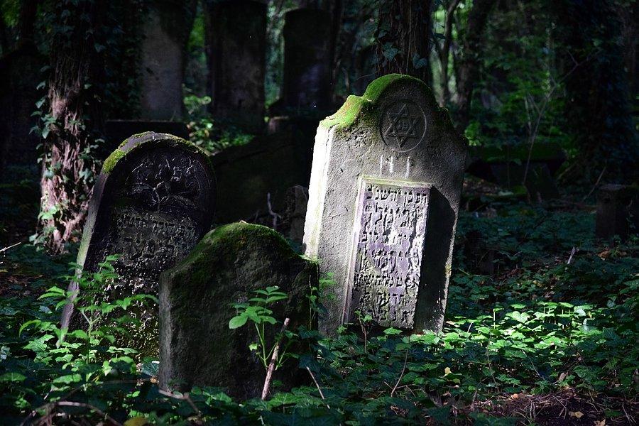 Częstochowski kirkut III