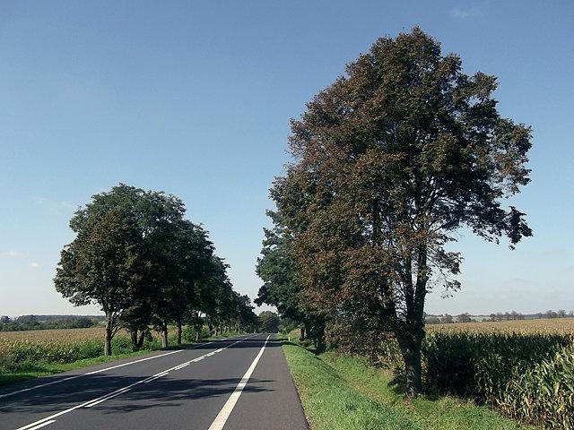 Dk 94