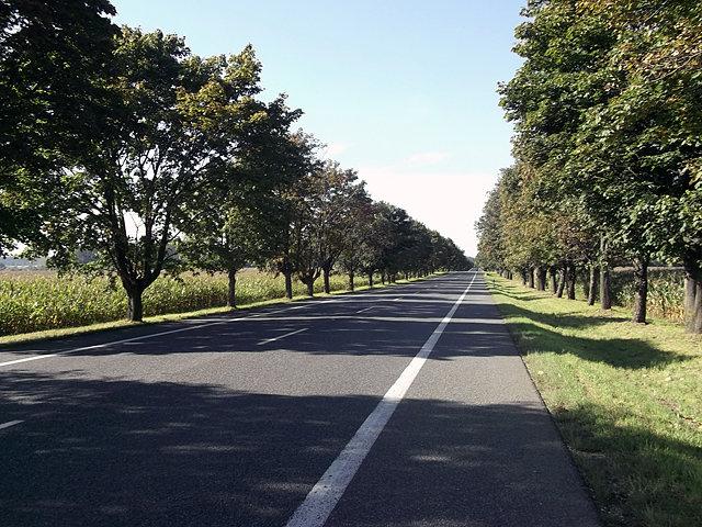 Dk 94