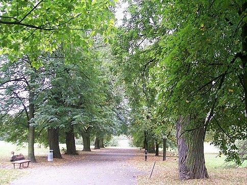 Jesień idzie przez park