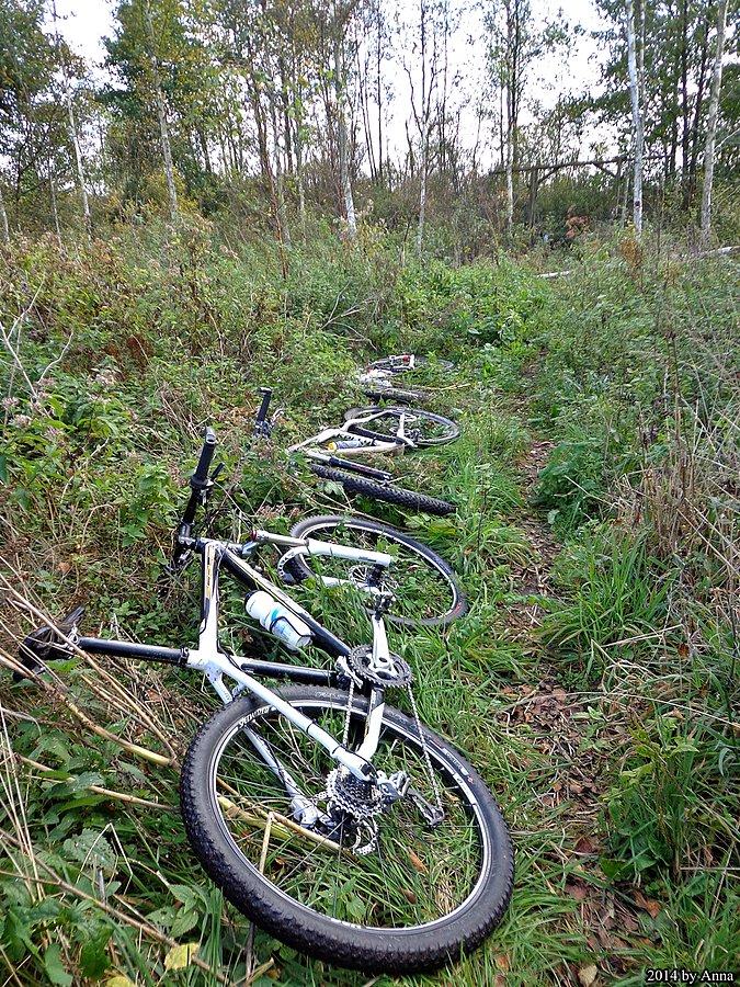 Na Bagnach Całowanie - pod punktem widokowym