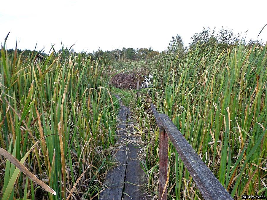 Na Bagnach Całowanie - pod punktem widokowym