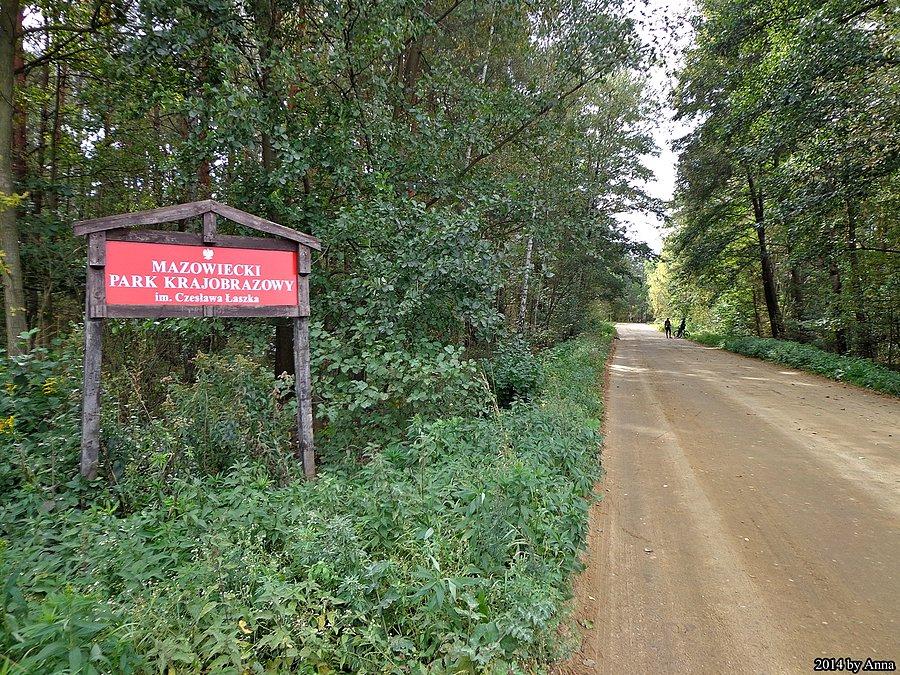 Mazowiecki Park Krajobrazowy