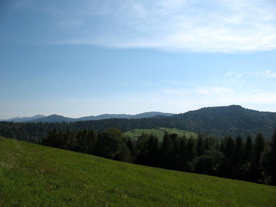 Dolina Łopienki