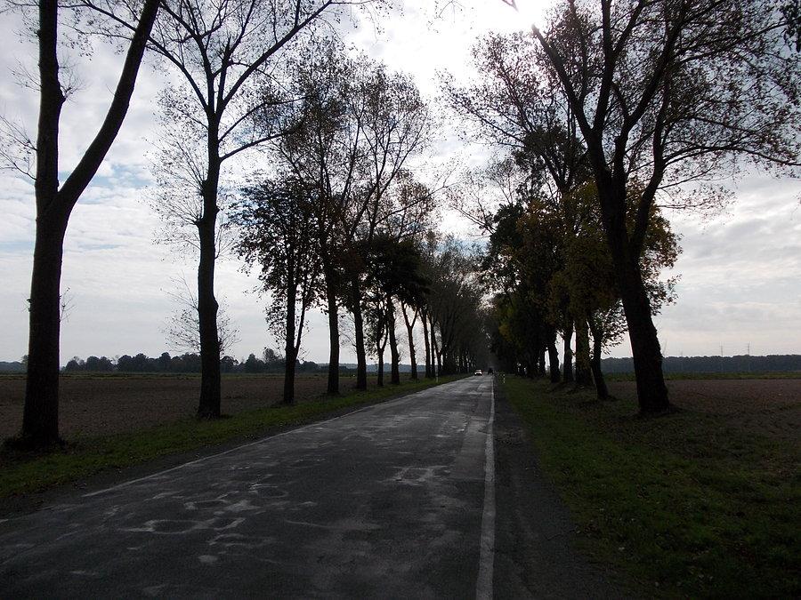 Jesień, niestety :(