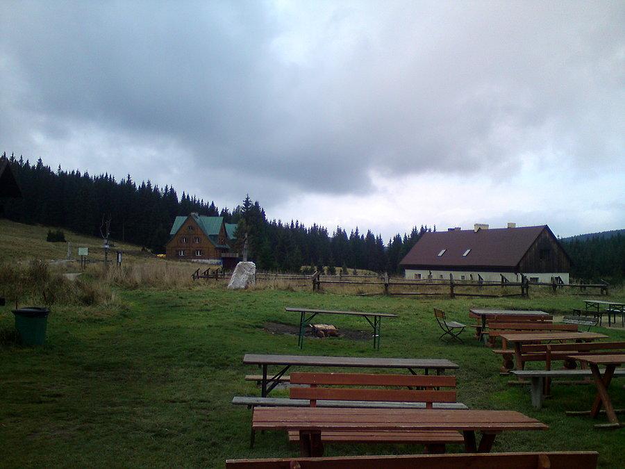 Orle najlepsze !