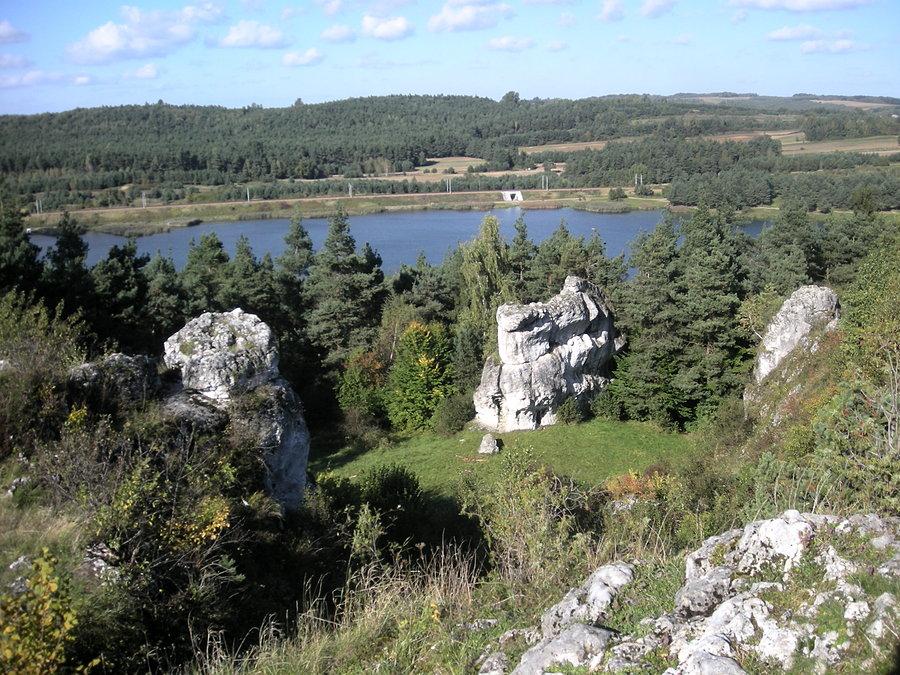 Góra Słupsko - ogrojec skalny