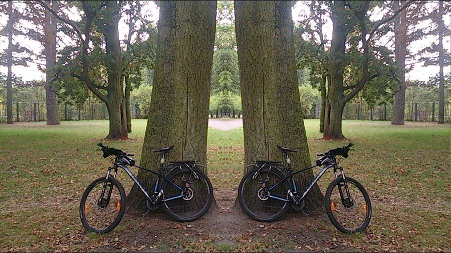 Park Modrzewie_ taka sobie fota