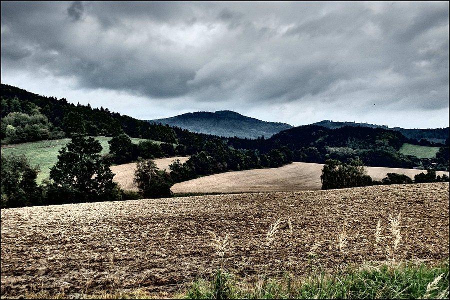 Pola i górki