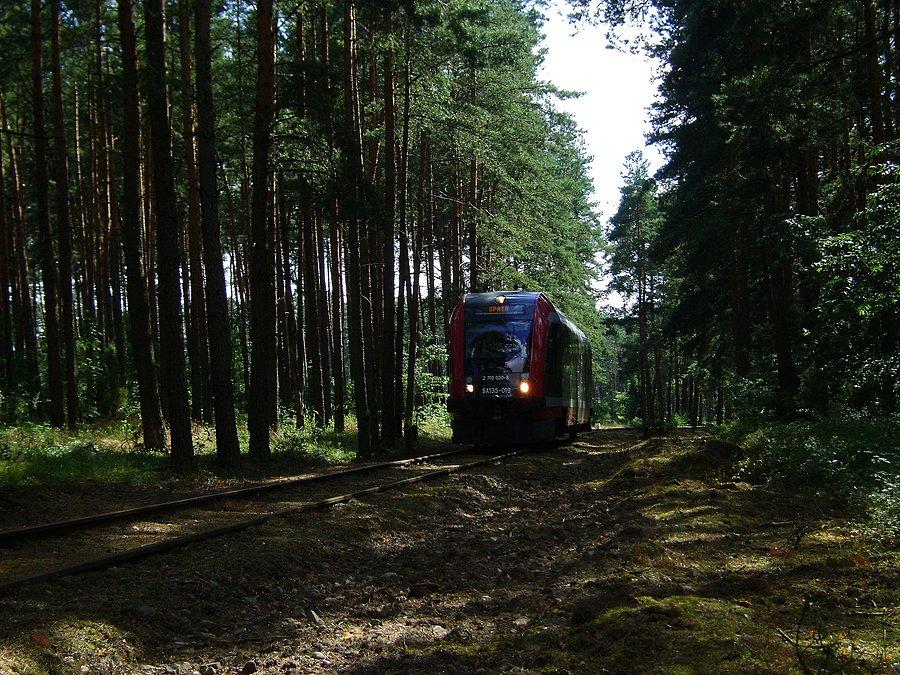 SA135-019 w mozolnym tempie zmierza do Spały