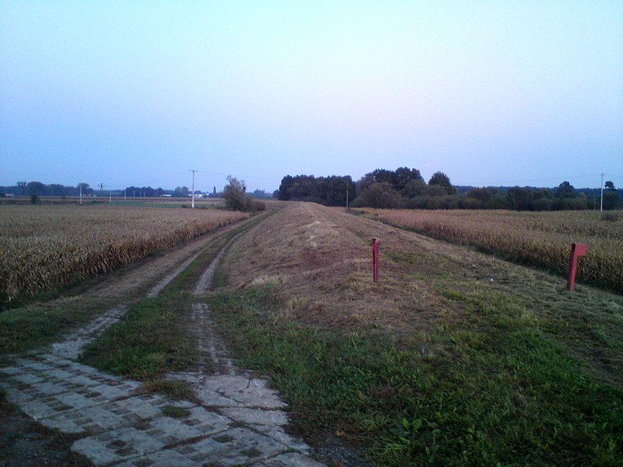 W końcu wykosili trawę na wale