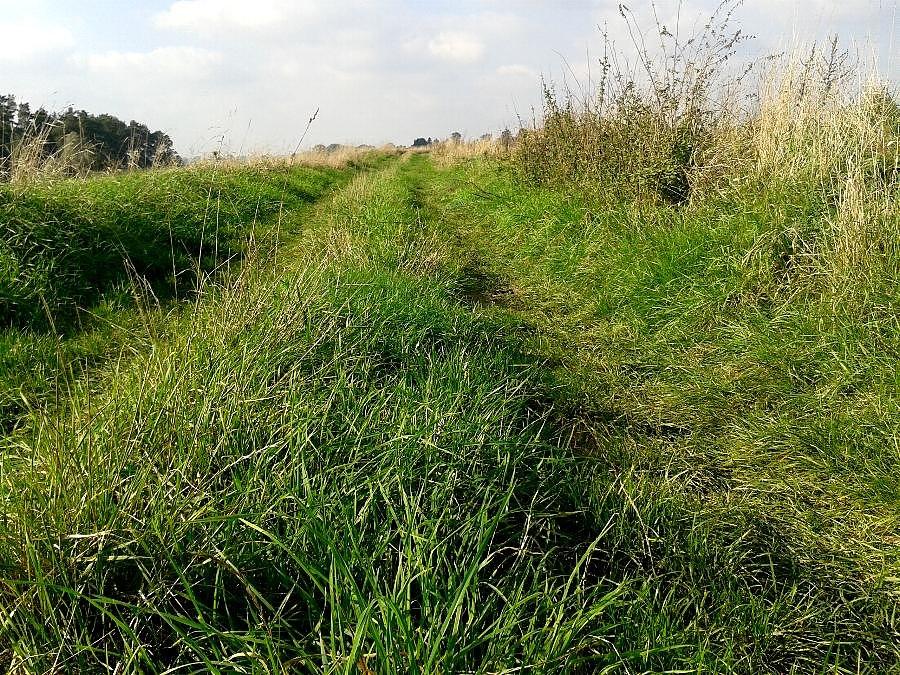 Droga Słodkowo - Słodkówko