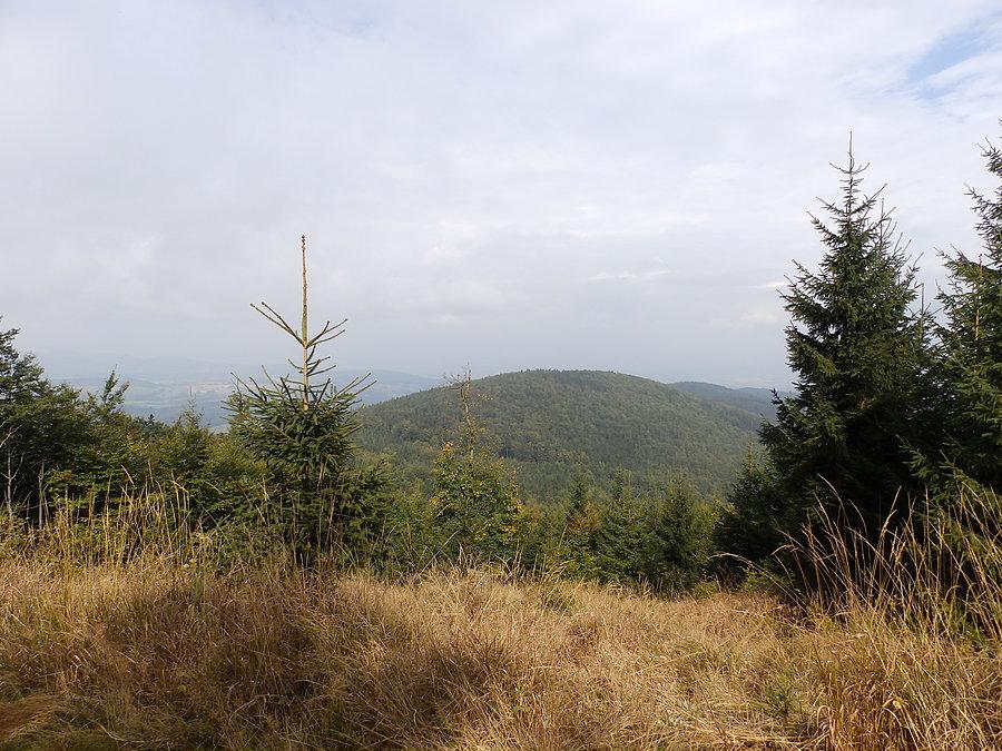 Widok ze zboczy Jawornika