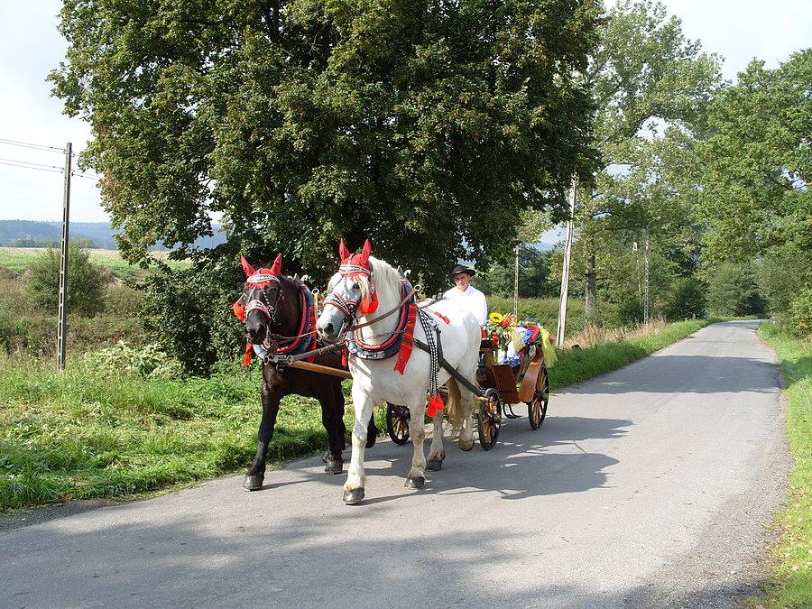 Początek trasy w Szalejewie Górnym mijamy się z weselną karocą