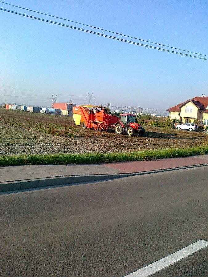 Wykopki. Teraz ziemniaki zbiera się kombajnem
