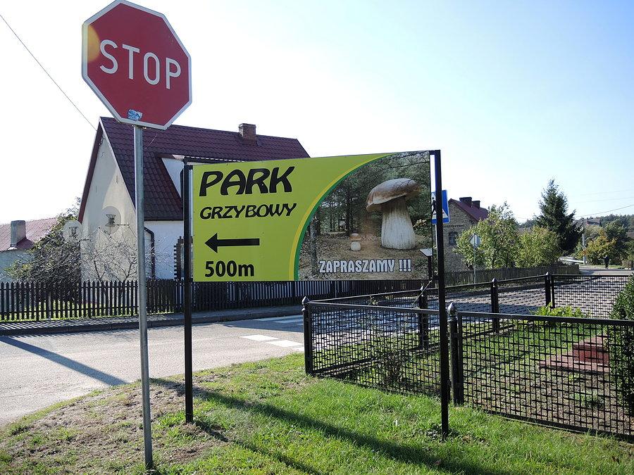 Piłka - kierunek Park Grzybowy