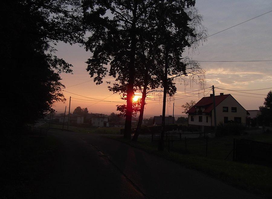 Bluszczowy, słoneczko zaczyna zachodzić