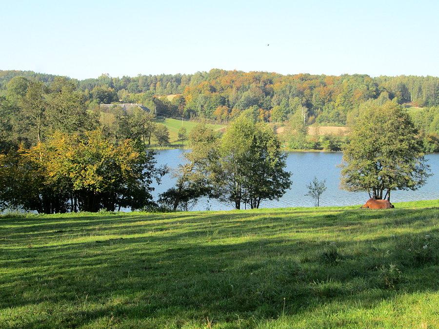 Zatoka nad Jeziorem Raduńskim Dolnym