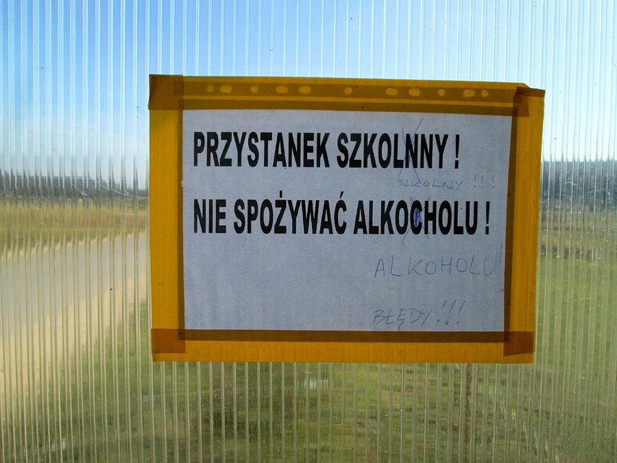 Z ortografią za Pan Brat