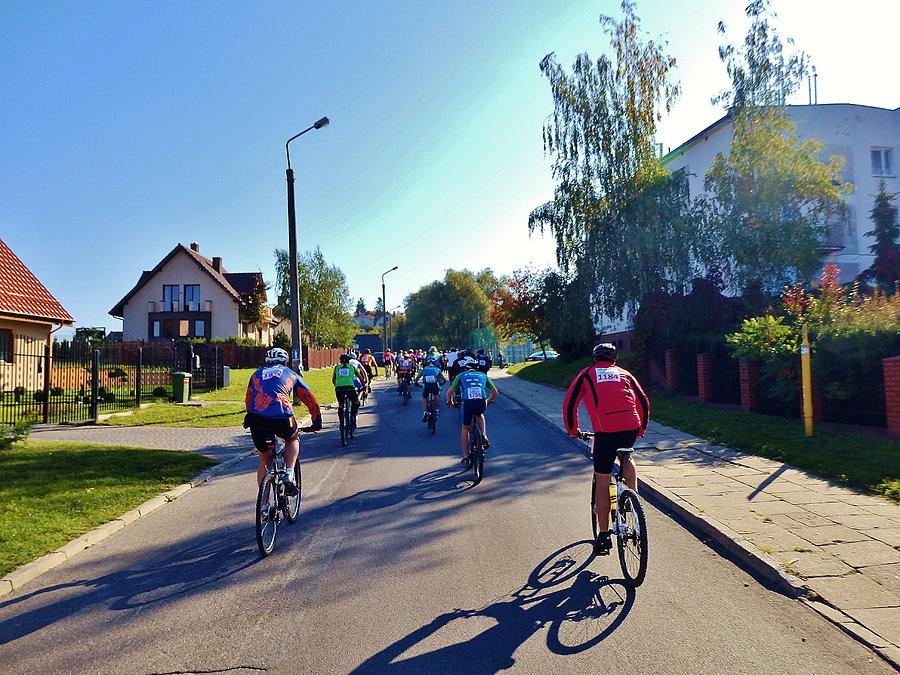 Skandia Maraton LangTeam Kwidzyn 2014 r
