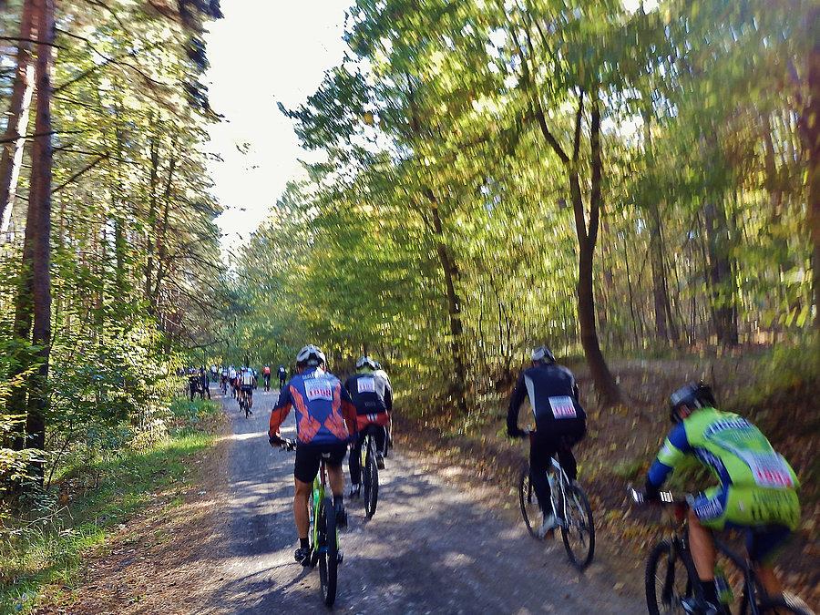 Skandia Maraton LangTeam Kwidzyn 2014 r