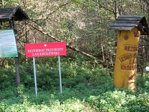 Rezerwat Królewski Las