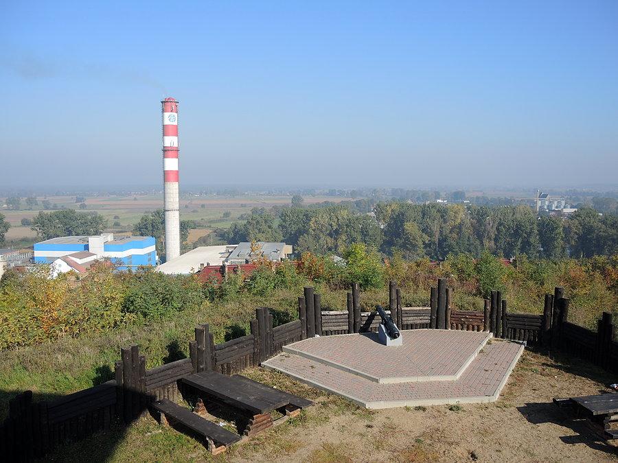 Widok z wieży