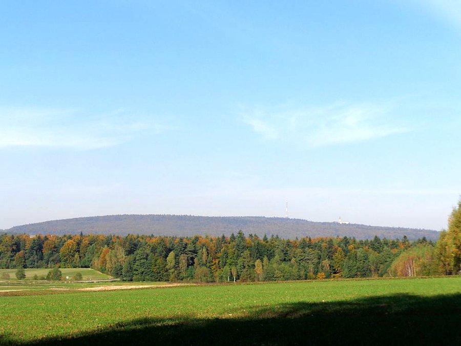Widok na Łysą góre z Pasma Bielińskiego