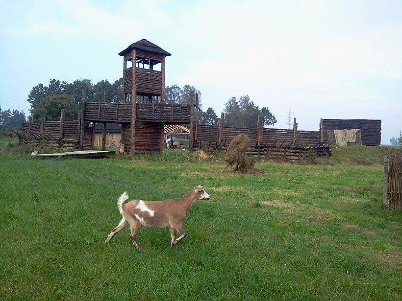 Białogród