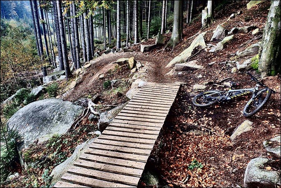 Trail dr. Wissnera