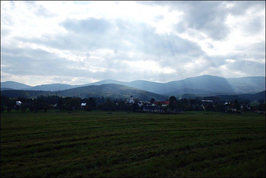Widoczek