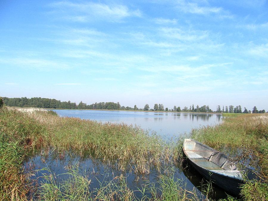 Jedno ze stawów hodowlanych na Psarach