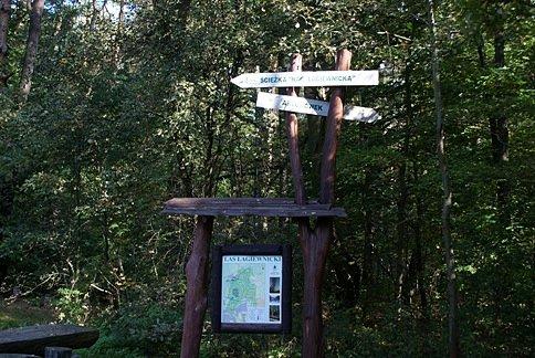 Drogowskaz na skrzyżowaniu dróg