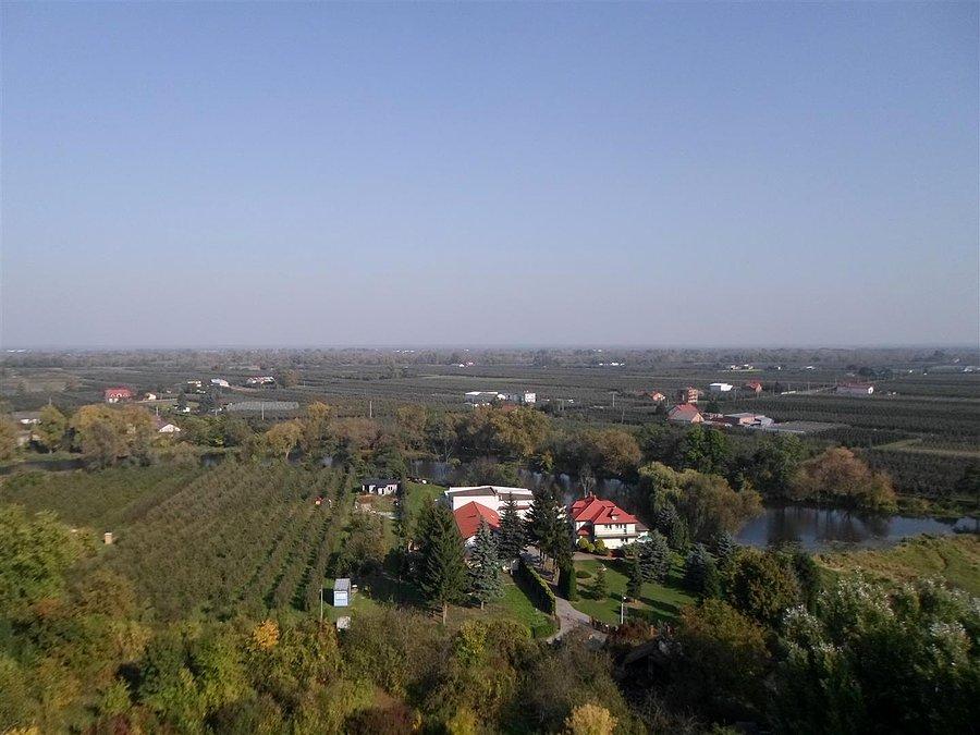 Panorama - widok z wieży
