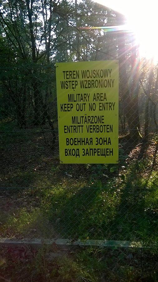 Tereny wojskowe w lesie