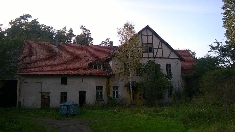 Opuszczona leśniczówka w lesie