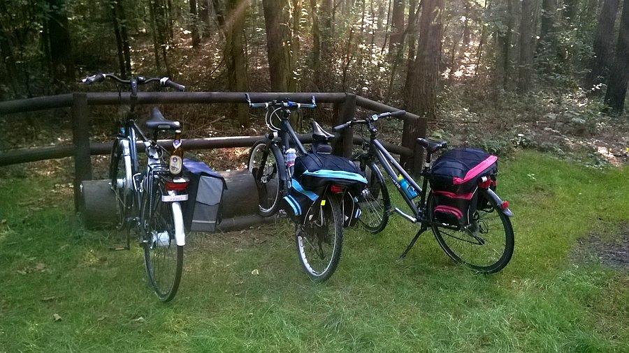 Pełen luksus w lesie przy Odrowążu, trasa dydaktyczna nr 1